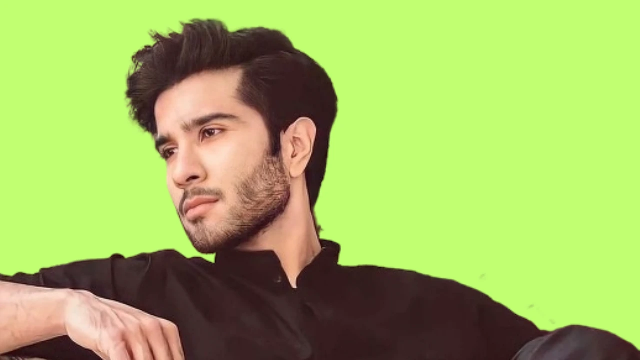 Pakistani Actor Feroz Khan Drama List.