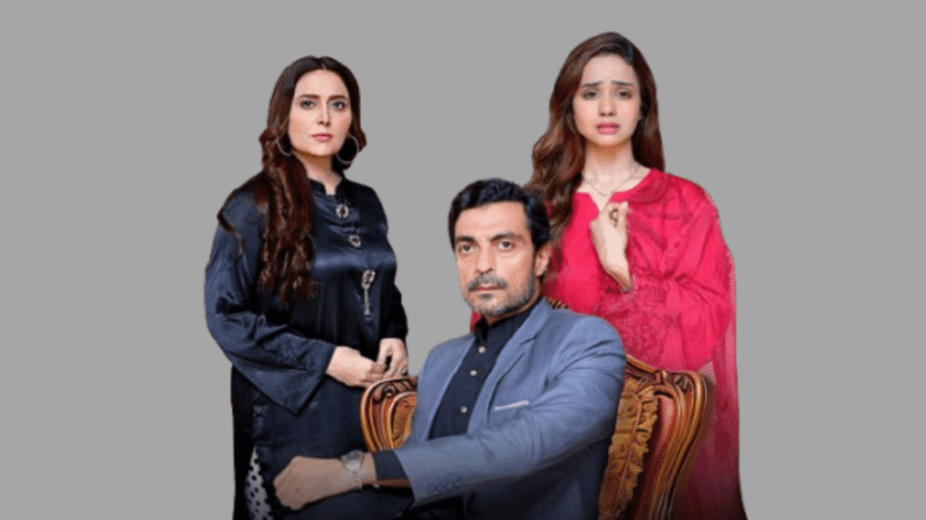 Alyy Khan, Salina Sipra, Kanwal Khan Drama Sotan. 