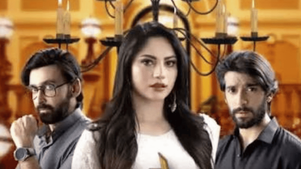 SamiKhan, NeelamMuneer and Shujah Asad Drama Pyar Deewangi Hai. 