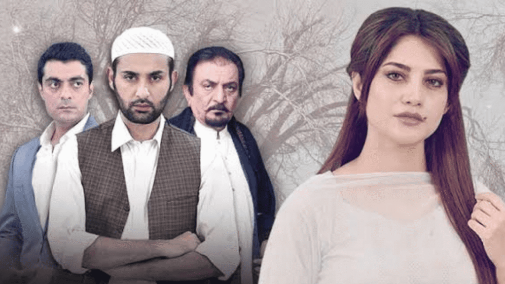 NeelamMuneer, AffanWaheed, Alyy Khan Drama Rab Razi. 