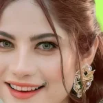 Neelam Muneer best 10 Pakistani Dramas List